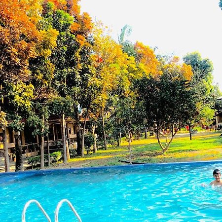 Chitwan Forest Resort , Chitwan National Park Sauraha Zewnętrze zdjęcie