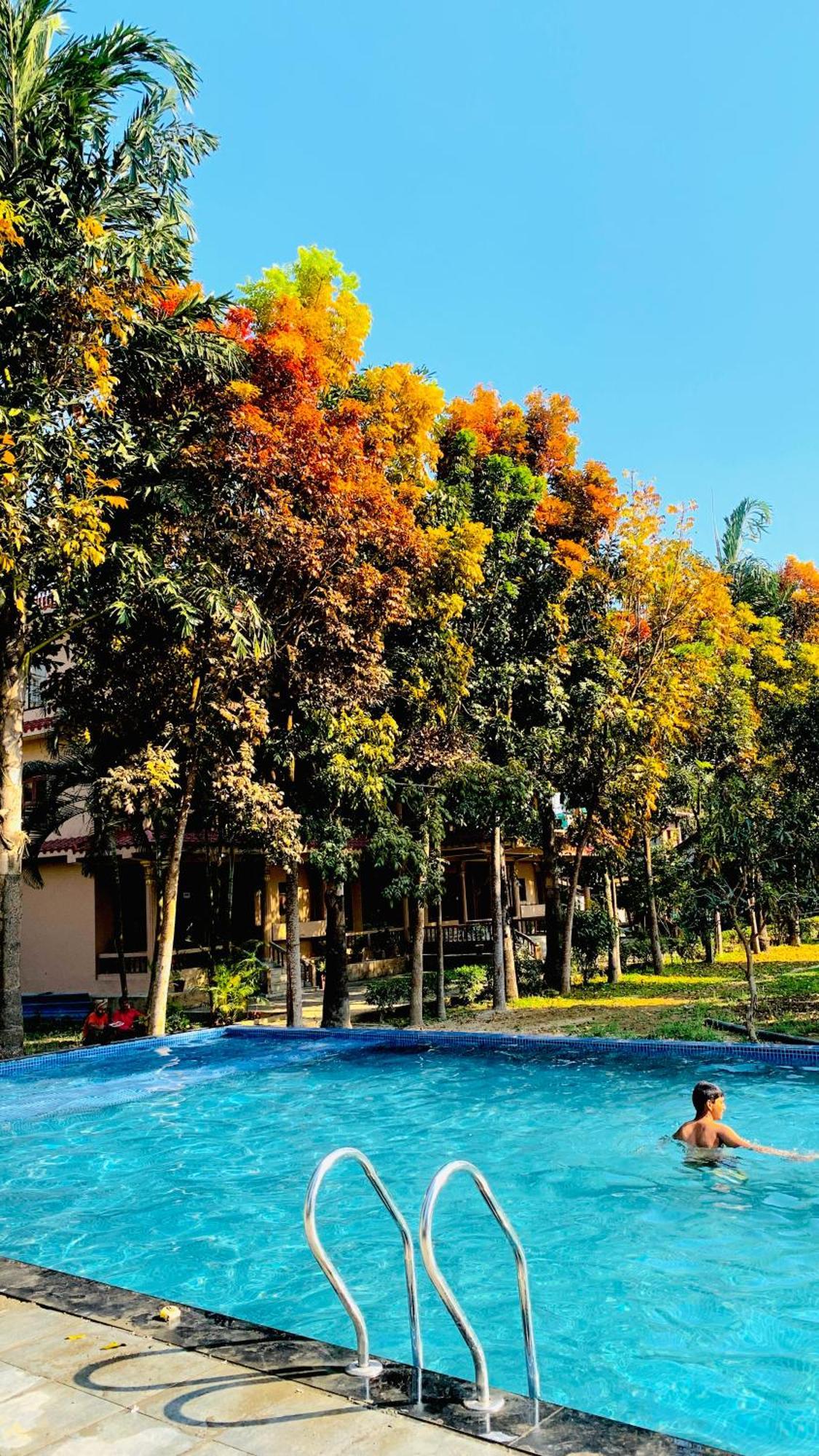 Chitwan Forest Resort , Chitwan National Park Sauraha Zewnętrze zdjęcie